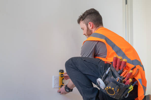 Best Electric Panel Repair  in Dover, TN